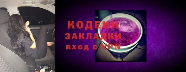 гашик Богданович