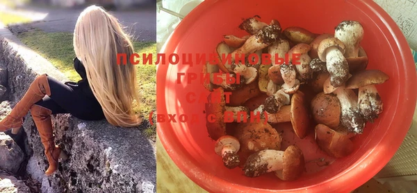 каннабис Бородино